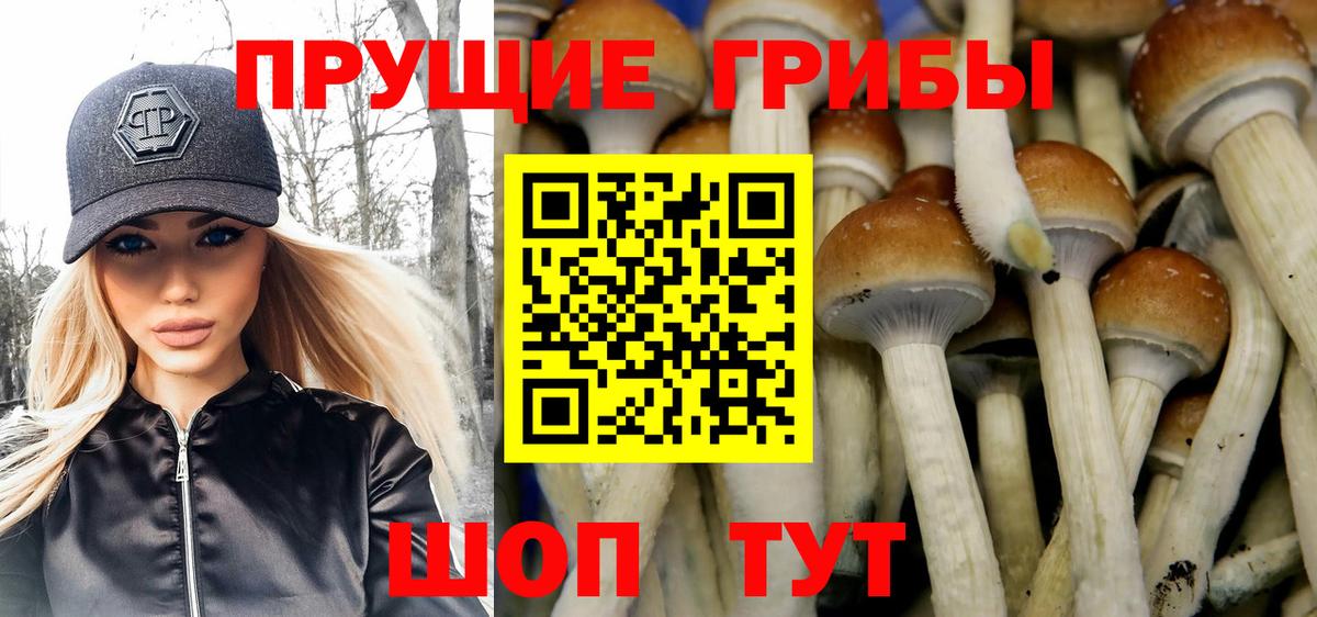 Галлюциногенные грибы мицелий Ефремов
